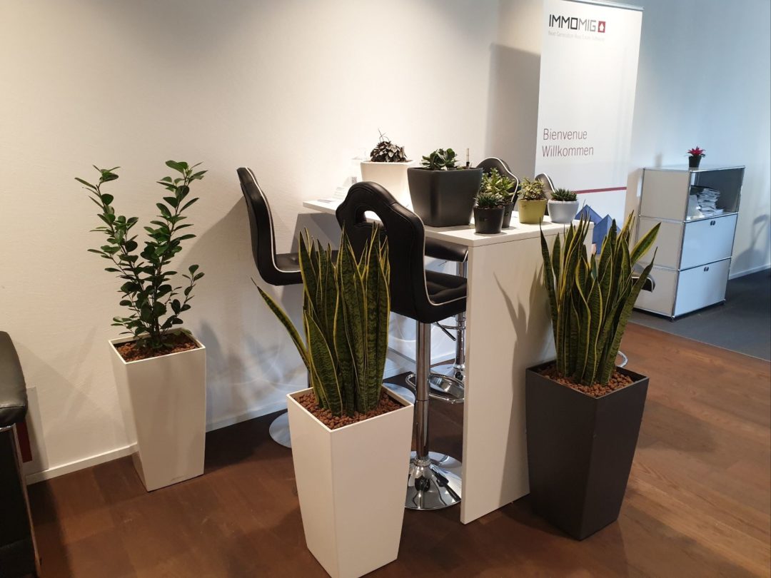 Aménagement intérieur